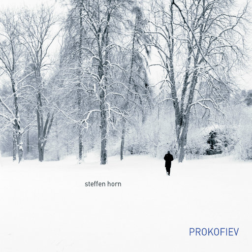 Prokofiev piano sonatas (MQA),Steffen Horn