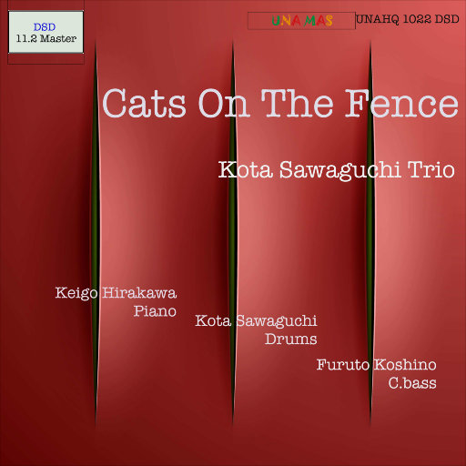 Cats on the Fence (11.2MHz DSD),Kota Sawaguchi Trio