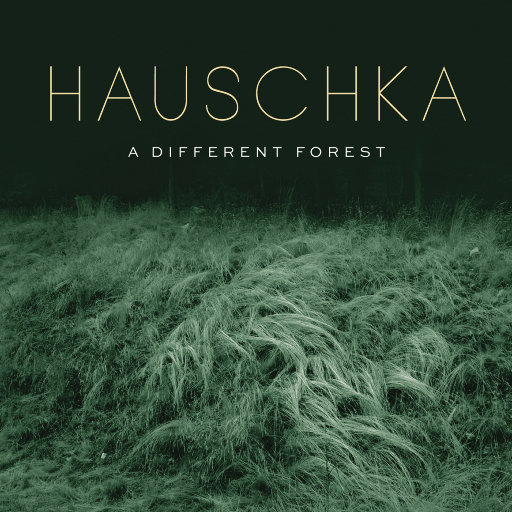 异样森林 (A Different Forest),Hauschka