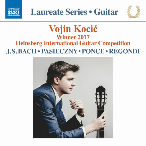 吉他音乐会 (Guitar Recital),Vojin Kocić