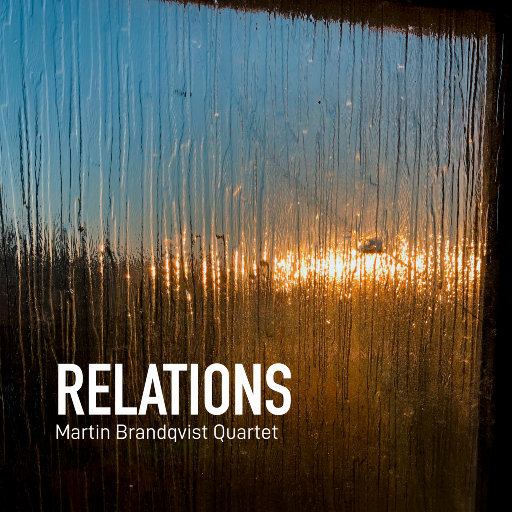 关系 (Relations),Martin Brandqvist Quartet