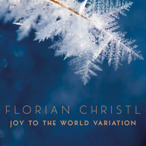 Joy to the World Variation,Florian Christl