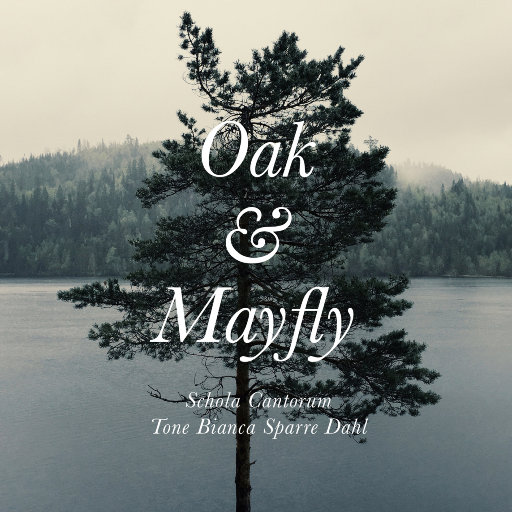 Oak & Mayfly (352.8kHz DXD),Schola Cantorum