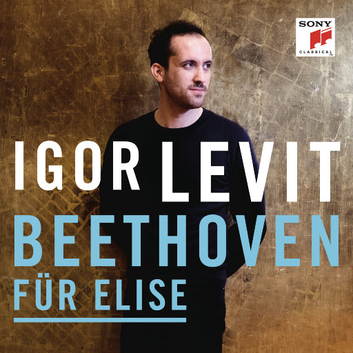 (Delete)致爱丽丝 (Für Elise, Bagatelle No. 25 in A Minor, WoO 59),Igor Levit (Delete)致爱丽丝 (Für Elise, Bagatelle No. 25 in A Minor, WoO 59),Igor Levit