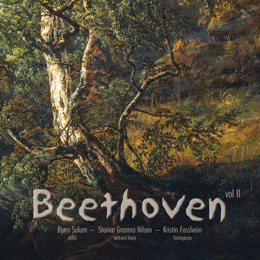 Beethoven Sonatas vol II (5.1CH/DSD),Kristin Fossheim