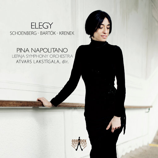 挽歌 (Elegy),Pina Napolitano
