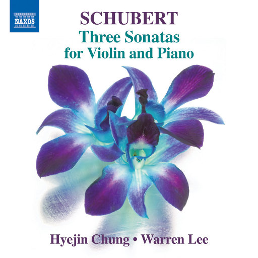 舒伯特: 三首小提琴和钢琴奏鸣曲, Op. 137, D. 384, 385, 408,Hyejin Chung