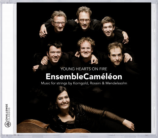 卡梅伦乐团: 年轻的心在燃烧,EnsembleCaméléon