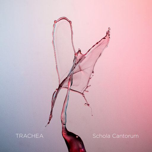 TRACHEA (Auro-3D 9.1CH),Schola Cantorum