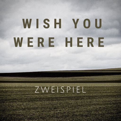 愿你曾在此 (Wish you were here),Zweispiel