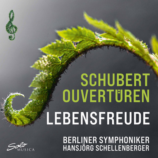 舒伯特: 序曲,Berlin Symphony Orchestra,Hansjörg Schellenberger
