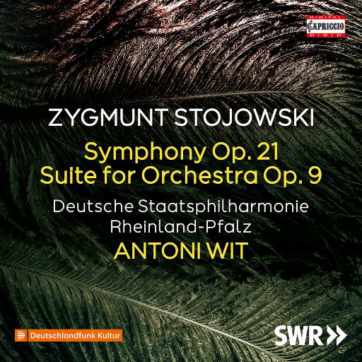 斯托约夫斯基: D小调交响曲, Op. 21 & 降E大调大型管弦乐组曲, Op. 9,Deutsche Staatsphilharmonie Rheinland-Pfalz,Antoni Wit