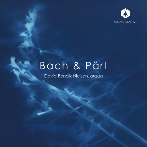 巴赫 & 阿尔沃·帕尔特: 管风琴作品,David Bendix Nielsen