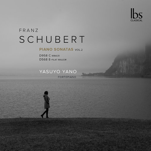 舒伯特: 钢琴奏鸣曲, Vol. 2,Yasuyo Yano