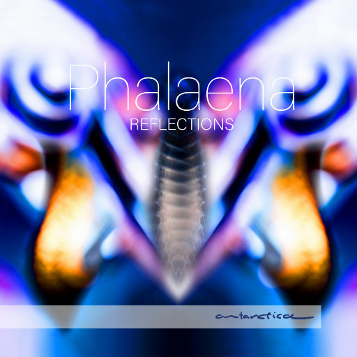 反思 (Reflections),Phalaena