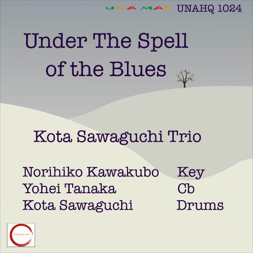 在布鲁斯的魔力下 (Under The Spell Of The Blues) (5.1CH),Kota Sawaguchi Trio