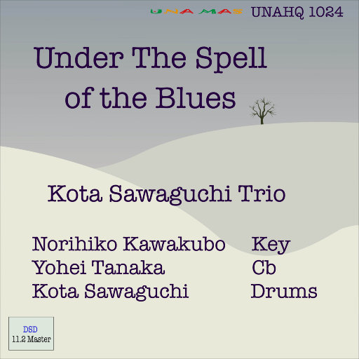 在布鲁斯的魔力下 (Under The Spell Of The Blues) (11.2MHz DSD),Kota Sawaguchi Trio