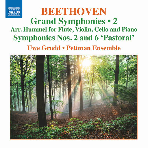 贝多芬: 大交响曲, Vol. 2,Uwe Grodd,Pettman Ensemble