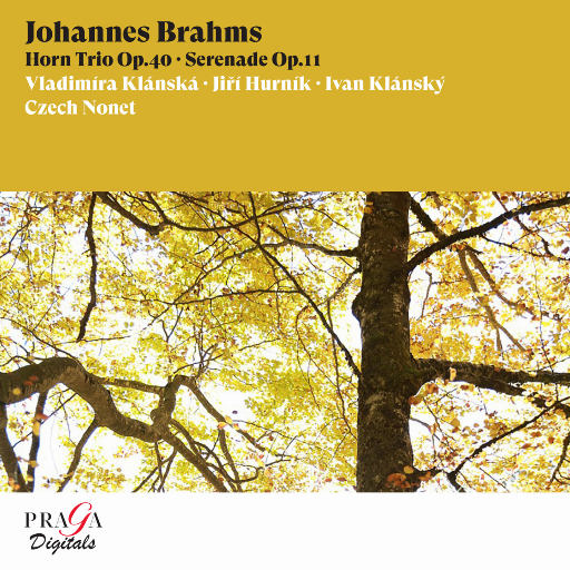 勃拉姆斯: 圆号三重奏, Op. 40, 小夜曲, Op. 11,Czech Nonet,Vladimíra Klánská,Jiří Hurník,Ivan Klánský