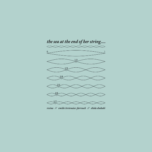 弦外之音的大海 (The Sea At The End Of Her String),Various Artists