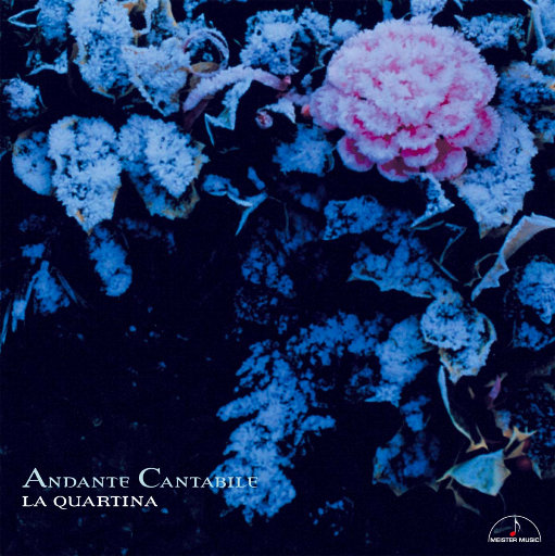 如歌的行板 - 四把大提琴重奏作品 (Andante Cantabile) (5.6MHz DSD),La Quartina