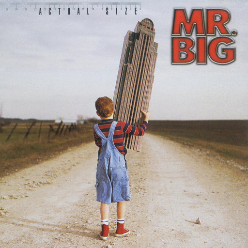 Actual Size,Mr. Big
