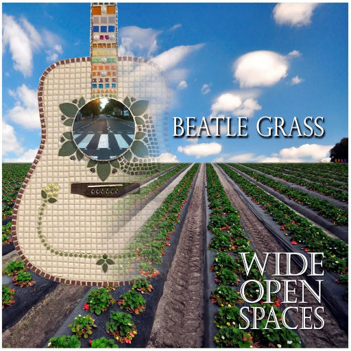 Beatle Grass,Wide Open Spaces