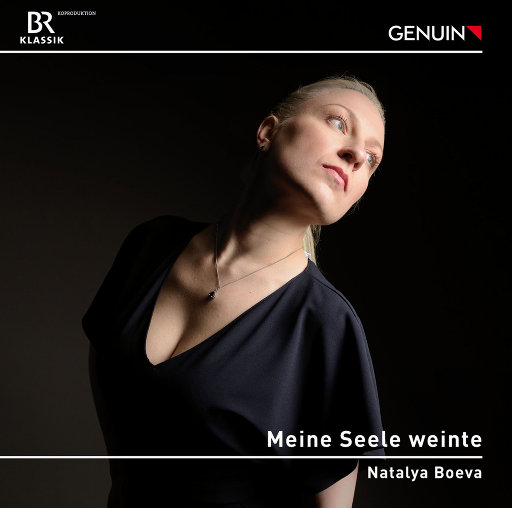 艺术歌曲集: 我的灵魂哭泣(Meine Seele weinte),Natalya Boeva,Polina Spirina