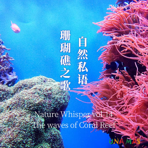 自然私语·珊瑚礁之歌,泽口真生