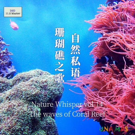 自然私语·珊瑚礁之歌 (11.2MHz DSD),泽口真生