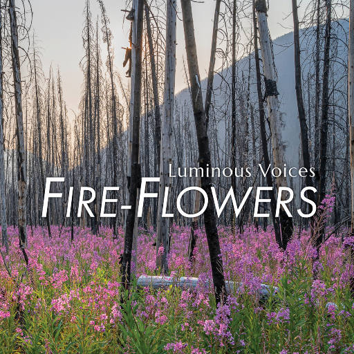 火之花 (Fire-Flowers),Luminous Voices,Timothy Shantz