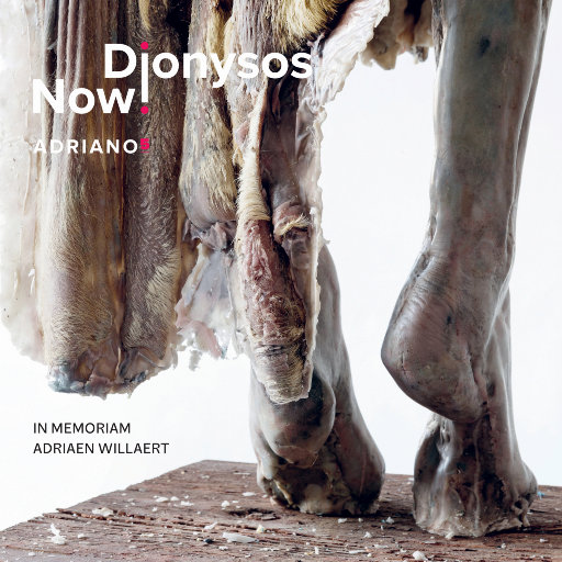 Adriano Ⅴ - 阿德里安·维拉尔特: 音乐作品,Dionysos Now, Tore Tom Denys