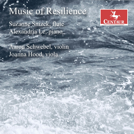 坚韧音乐 (Music of Resilience)