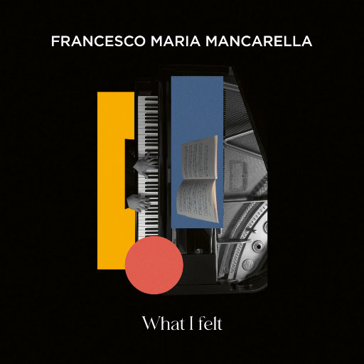 我所感受到的 (What I Felt),Francesco Maria Mancarella