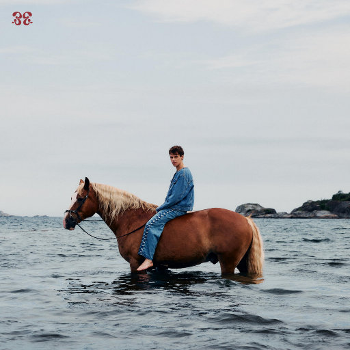 Northern Lights,Peder Elias