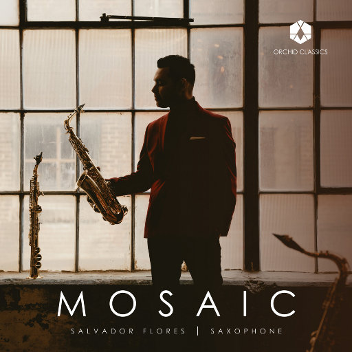 马赛克 (Mosaic),Salvador Flores,Liz Ames
