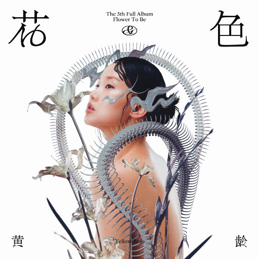 花&色,黄龄